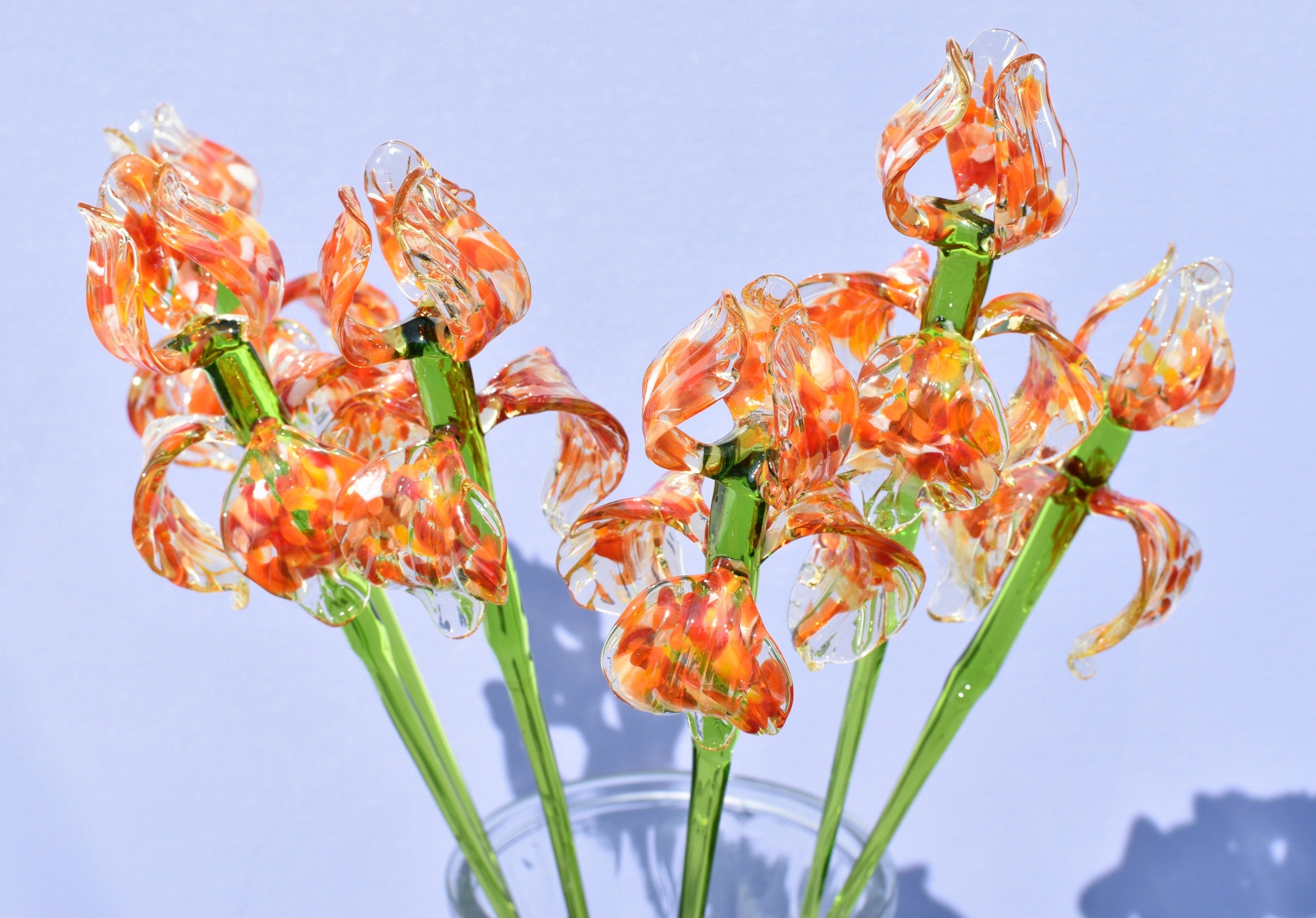 "Naranja" Orange Spotted iris