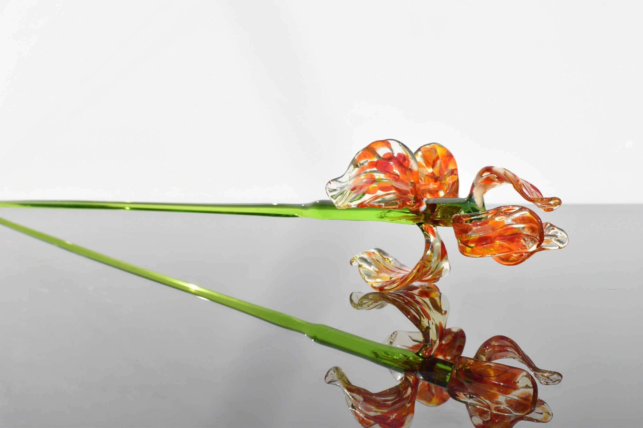"Naranja" Orange Spotted iris