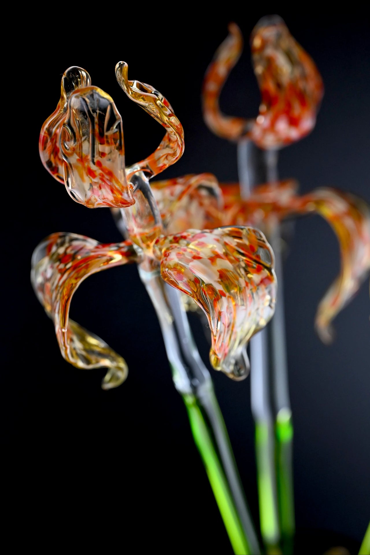 Eternal Passion Gift For Her