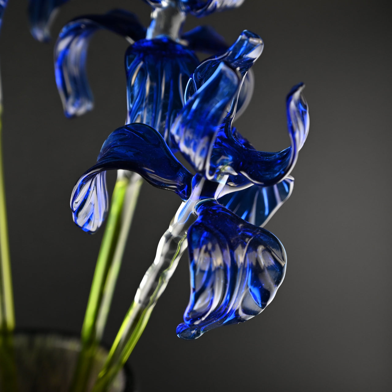 Sapphire Love Irises