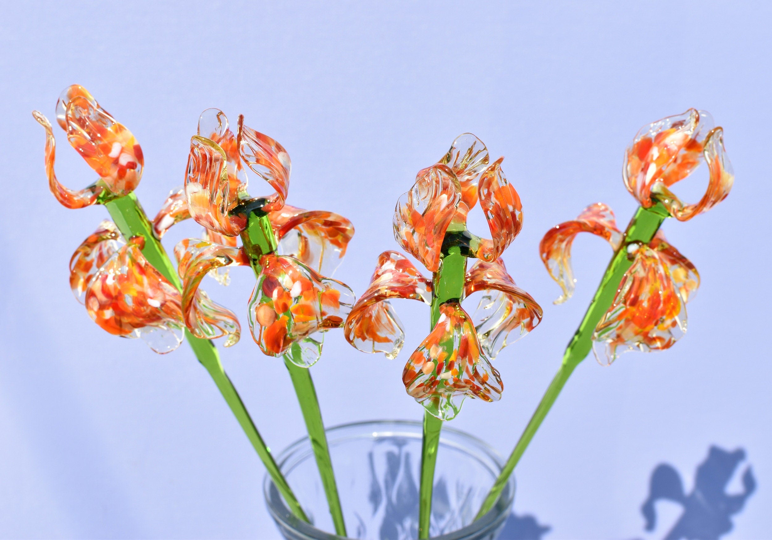 "Naranja" Orange Spotted iris