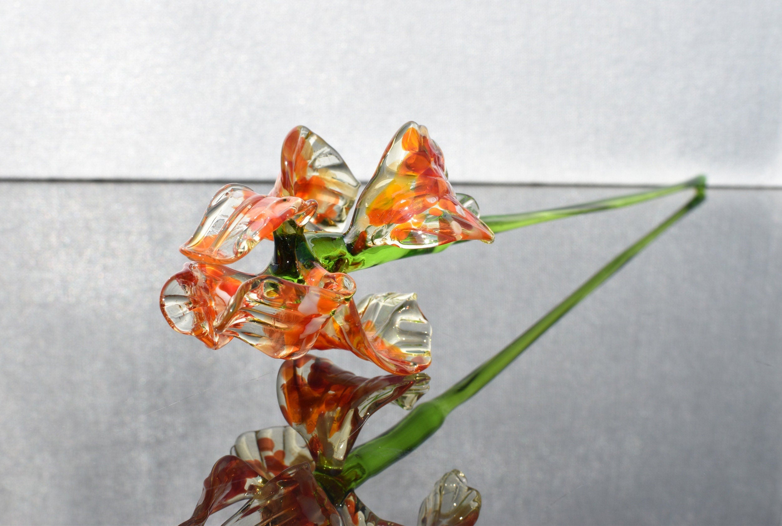 "Naranja" Orange Spotted iris