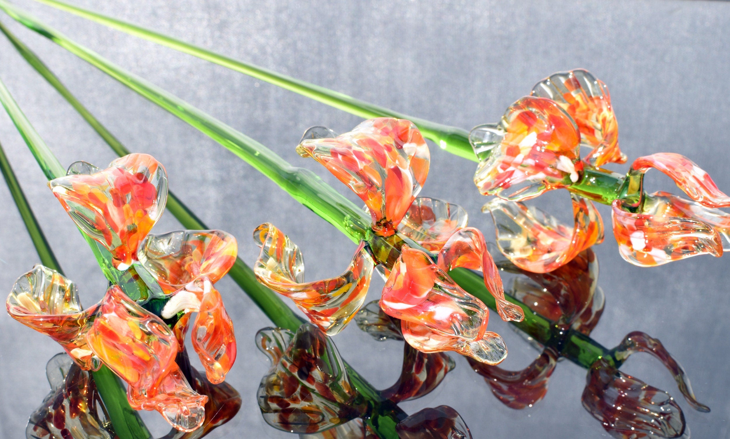 "Naranja" Orange Spotted iris