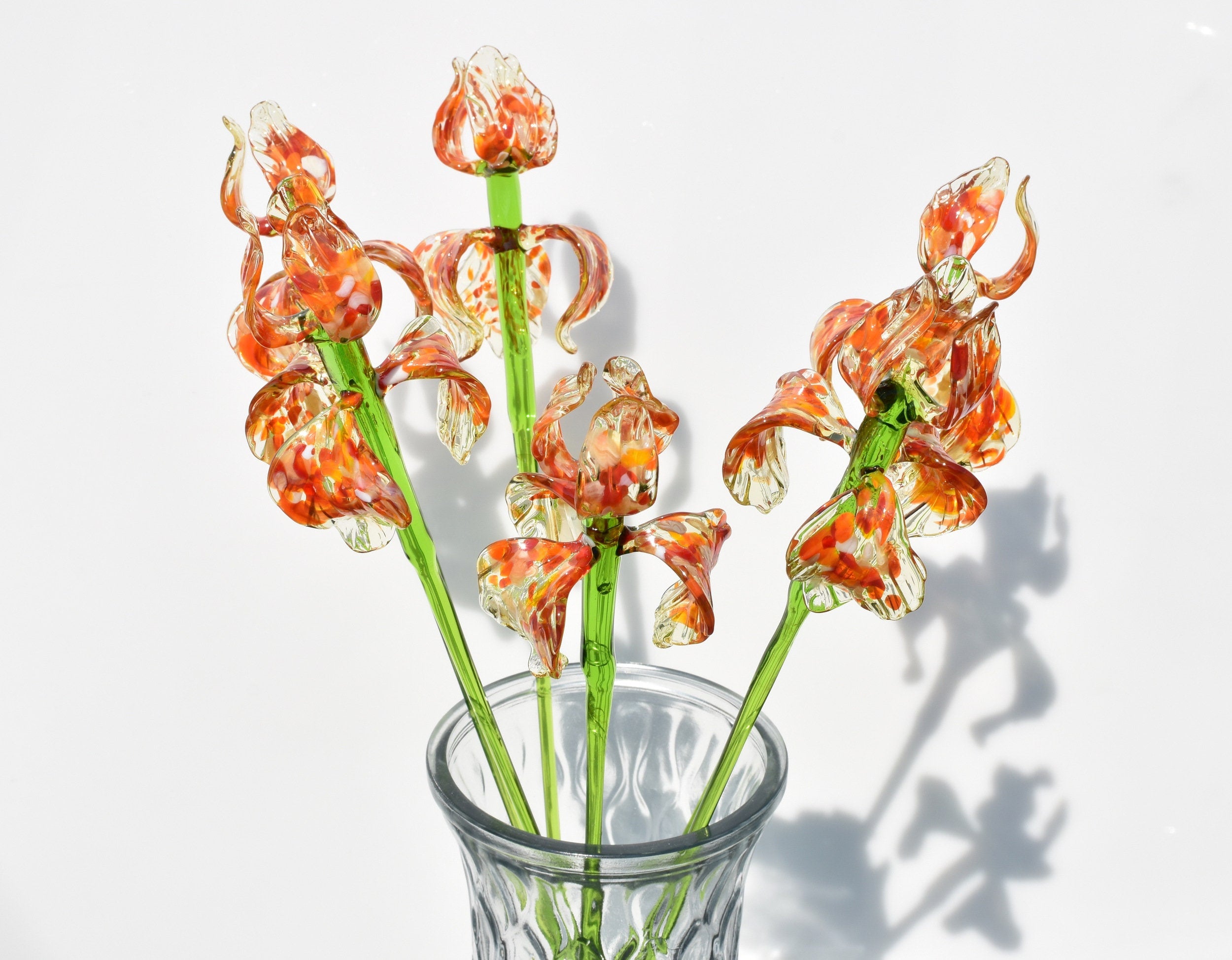 "Naranja" Orange Spotted iris