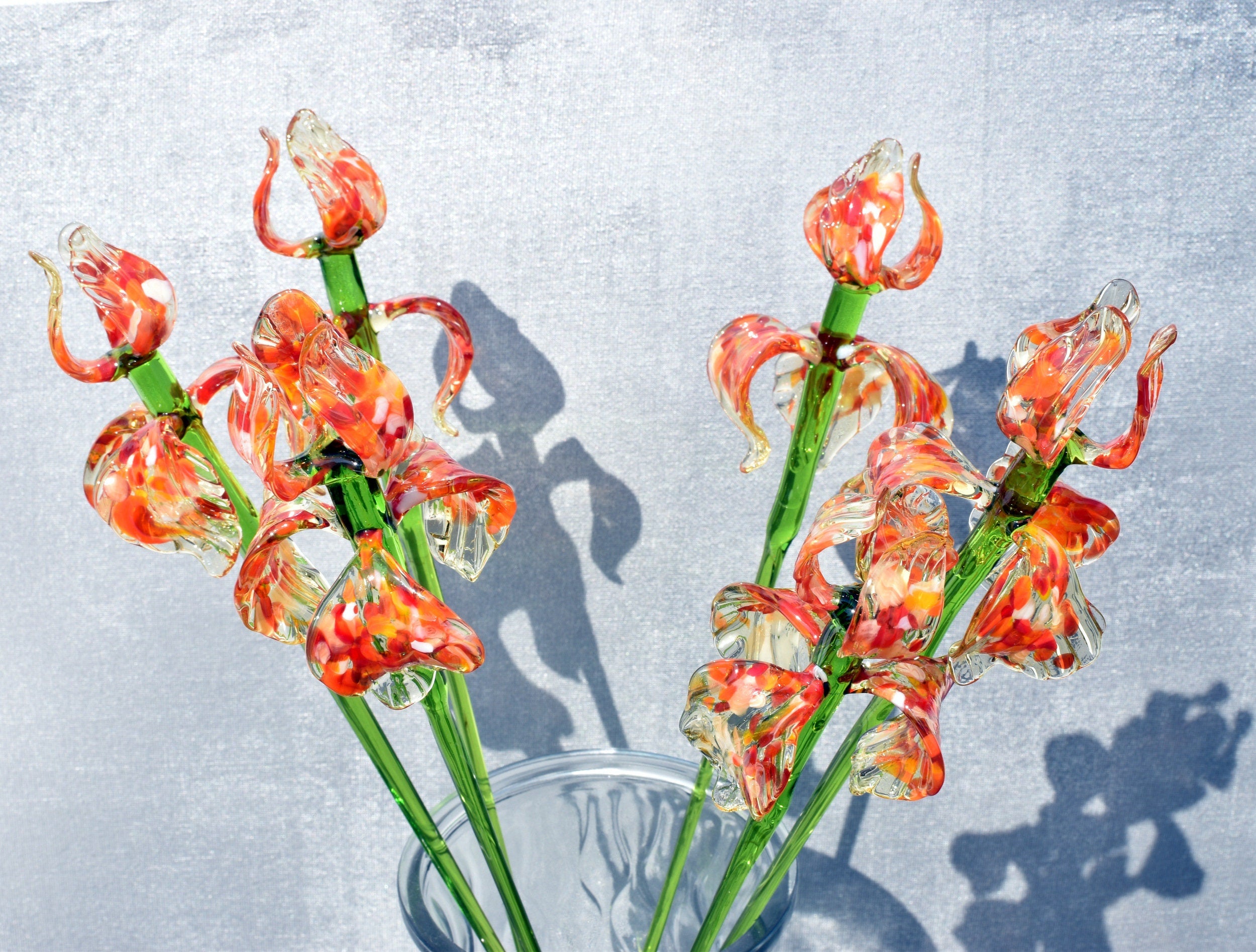 "Naranja" Orange Spotted iris