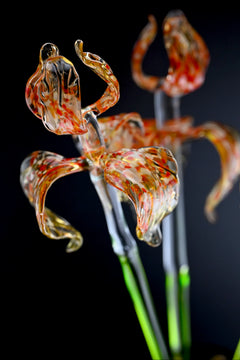 Eternal Passion Gift For Her