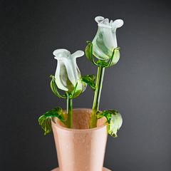 Everlasting Rose Blossom Gift