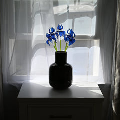 Sapphire Love Irises