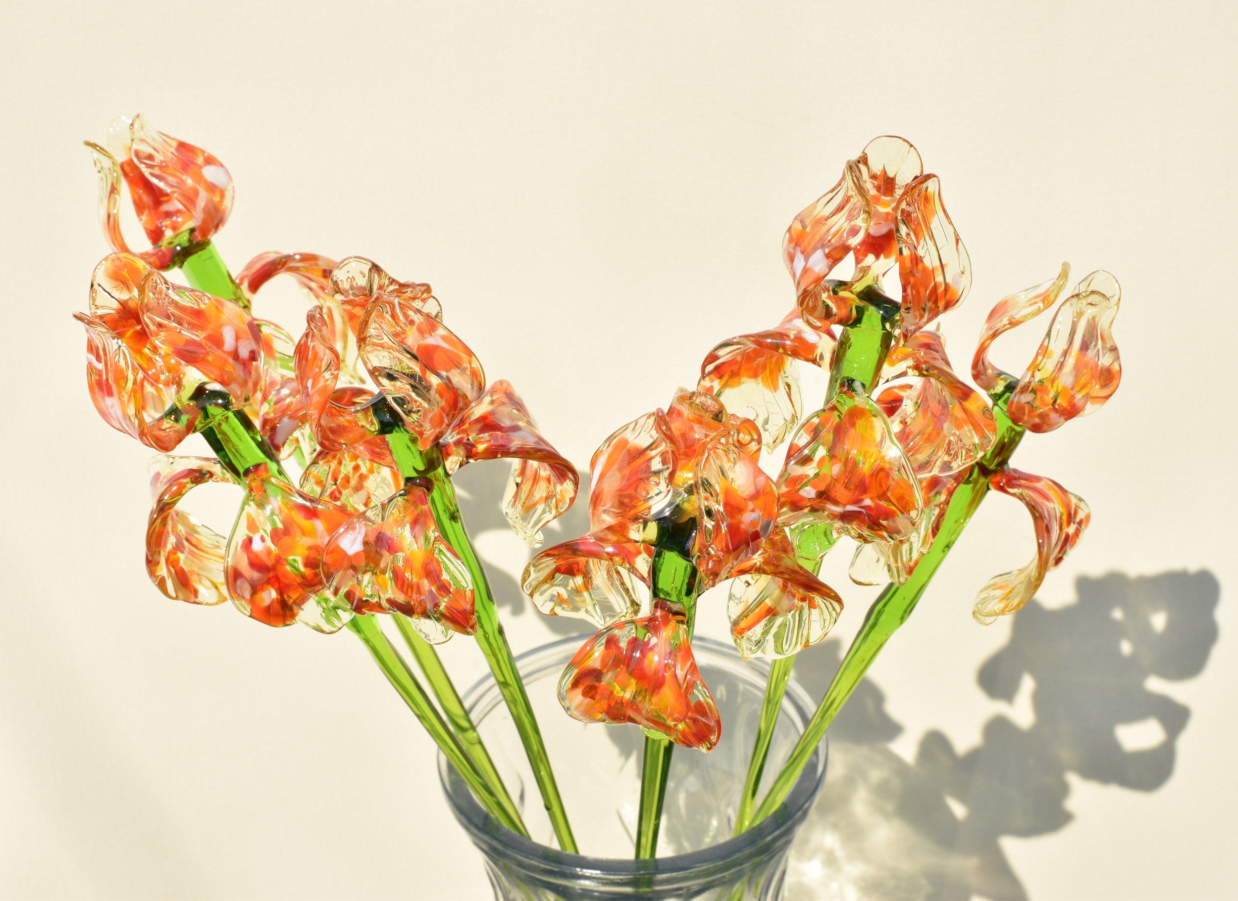 "Naranja" Orange Spotted iris